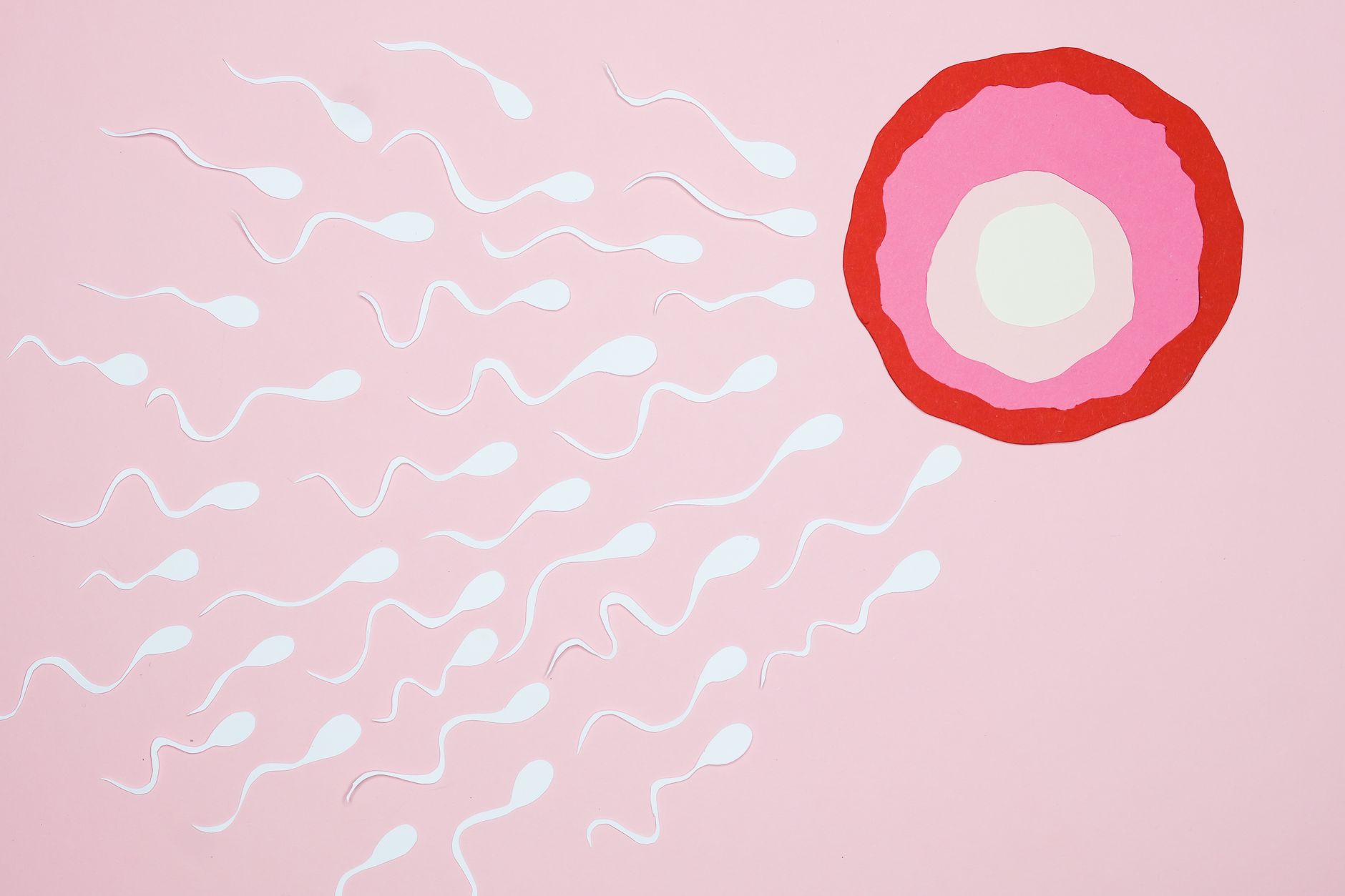 human embryo base editing