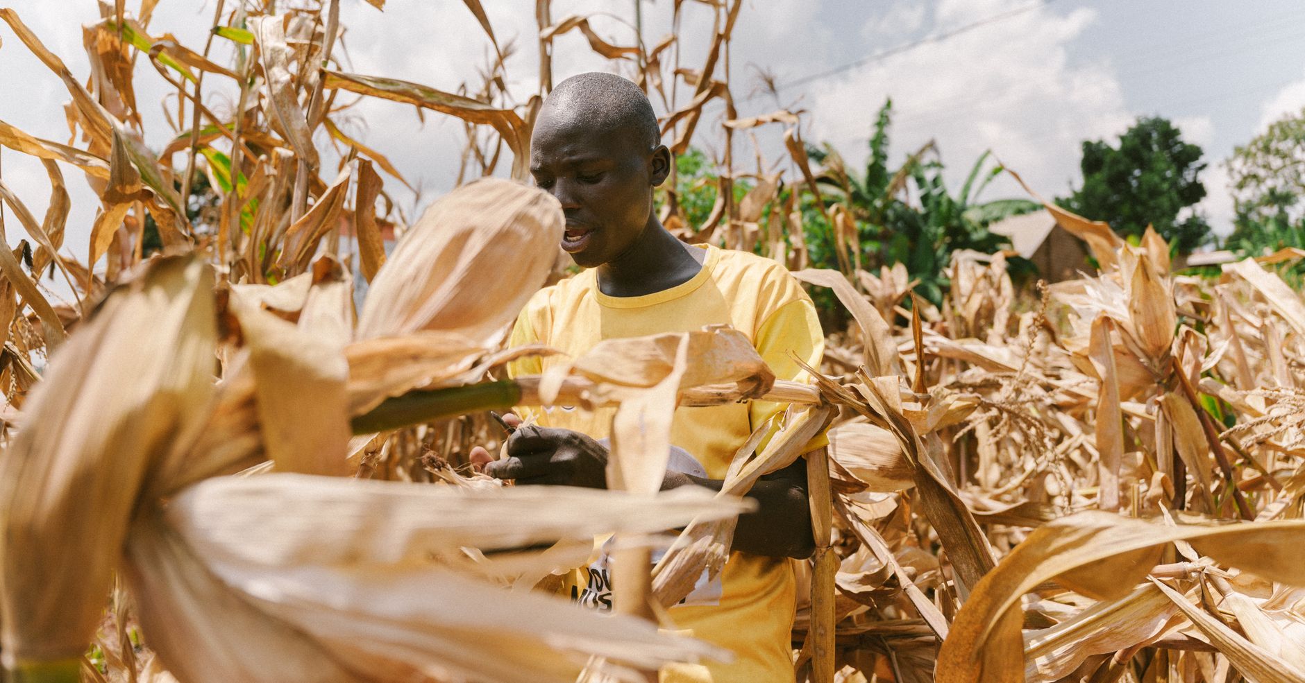 drought relief for farmers